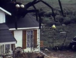 The Giant Spider Invasion image